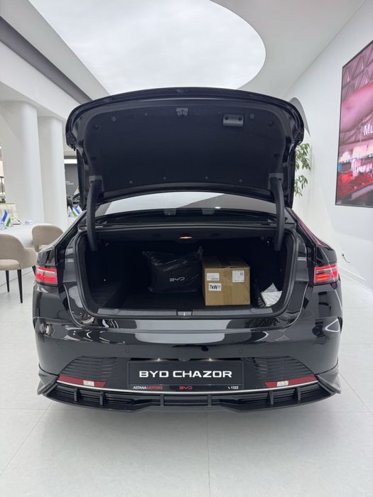 BYD Chazor CHAMPION DM-i 55km 120km