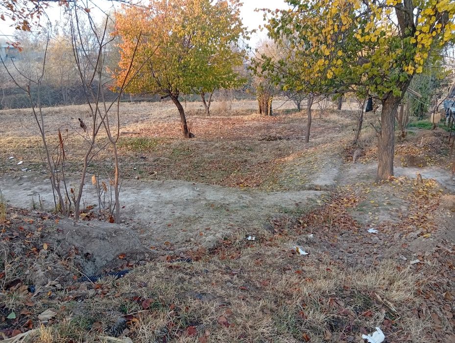 Qurilish uchun yer sotiladi