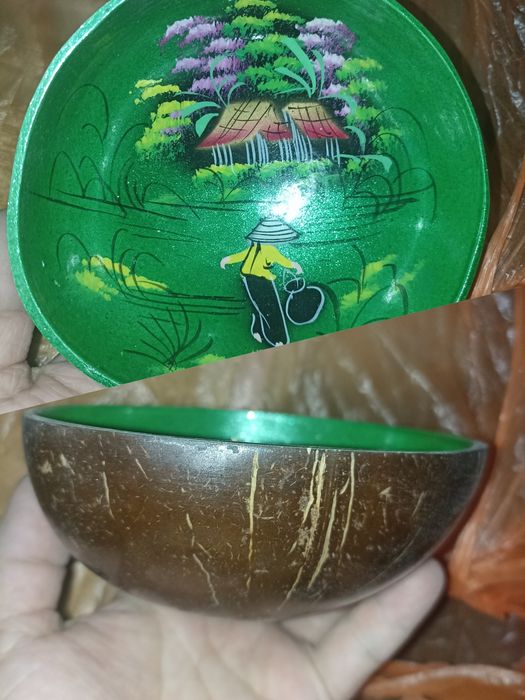 Шишки ёлочные,Отростки декабриста