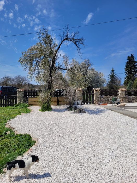 Продава се Къща в с. Малина, Област Добрич - 115 кв.м за 599 €/кв.м - Снимка #6