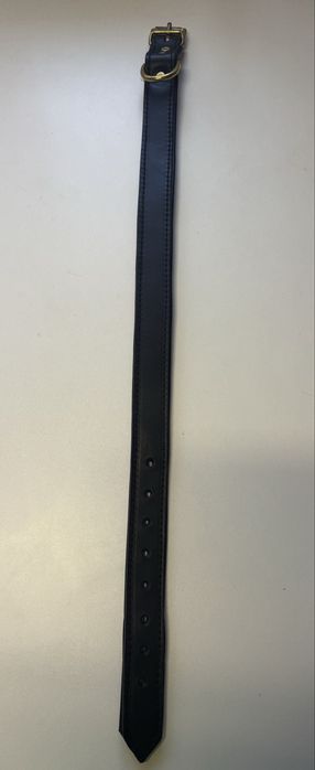 Set Zgardă + Lesă Piele