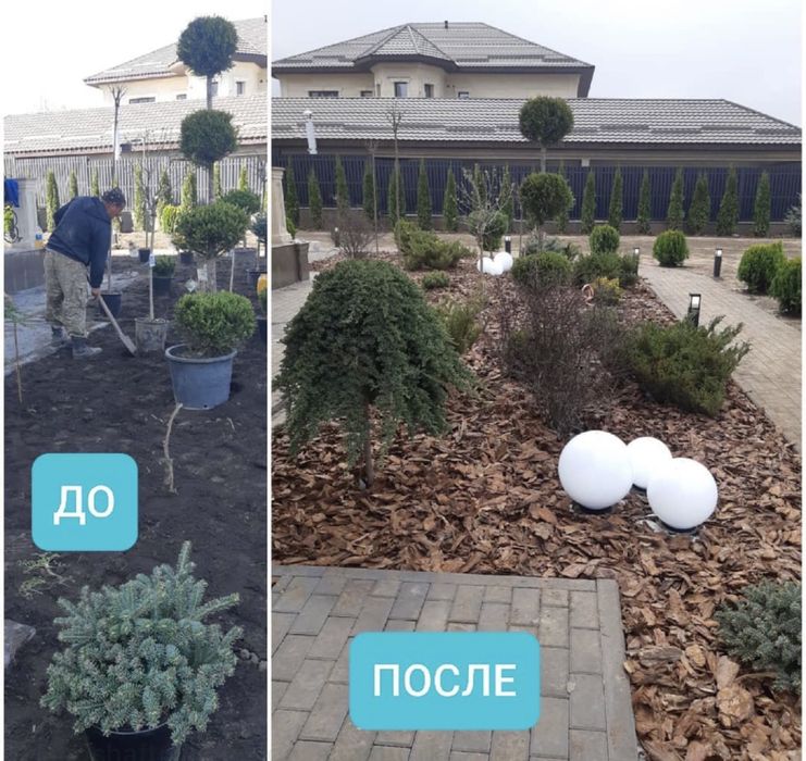 Ландшафтный дизайн