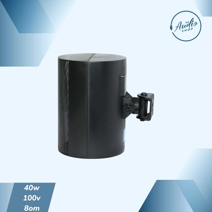 Пассивная настенная колонка для фоновой музыки 40wat