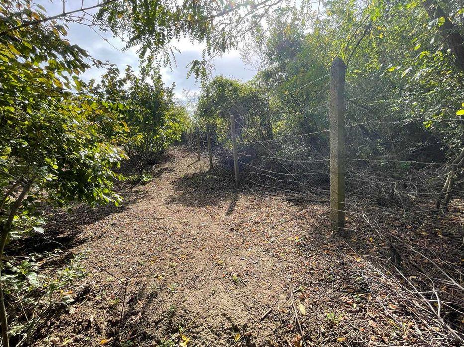 Продава се Земеделски имот в с. Драгоево, Област Шумен -  кв.м за 8 €/дка - Снимка #5