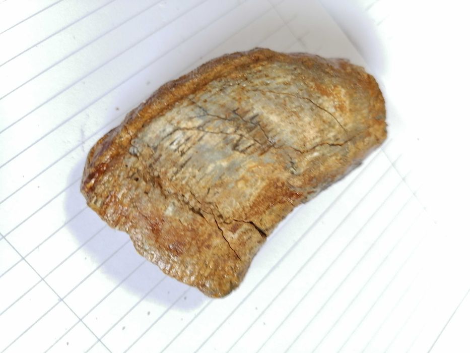 артефакты древней архиологии