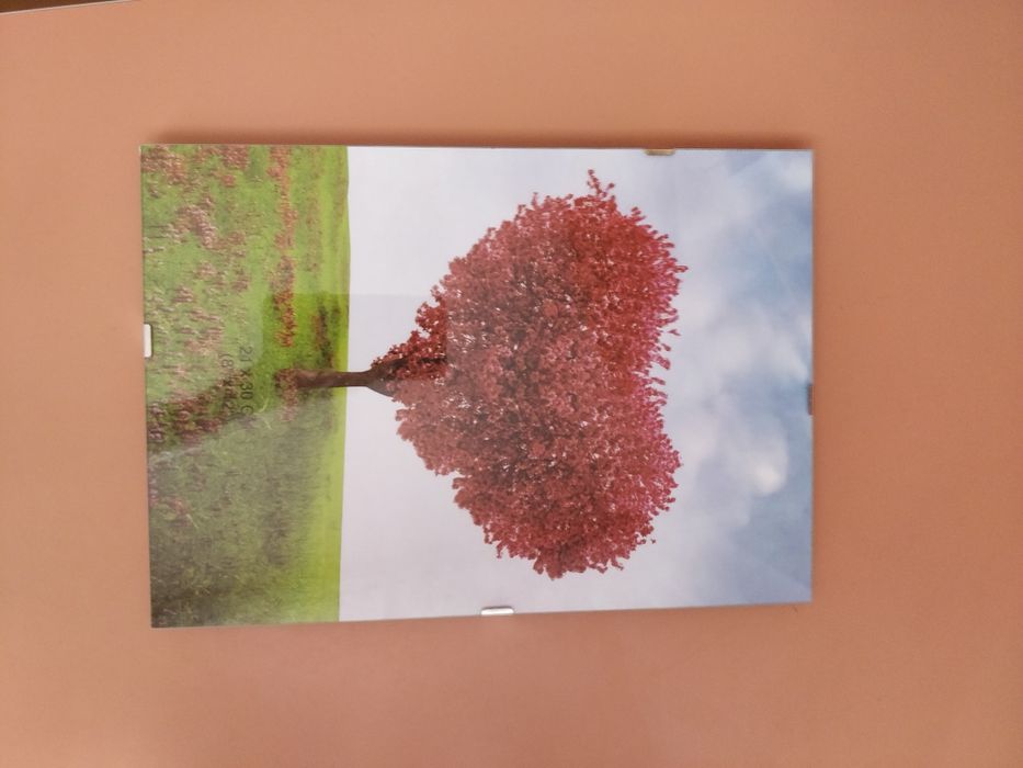 Ramă pentru tablou sau fotografie