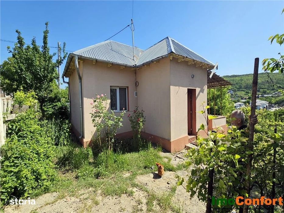 Casa cu 3 camere si 1000 mp teren in Uricani