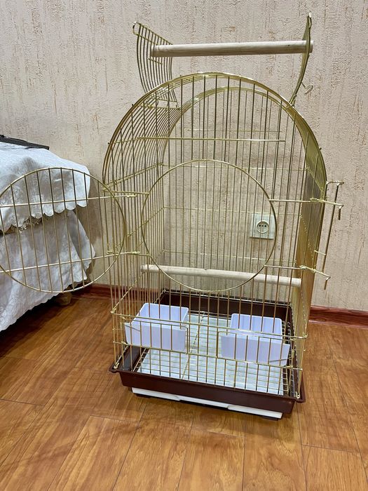 Tilla qafas золотые клетки