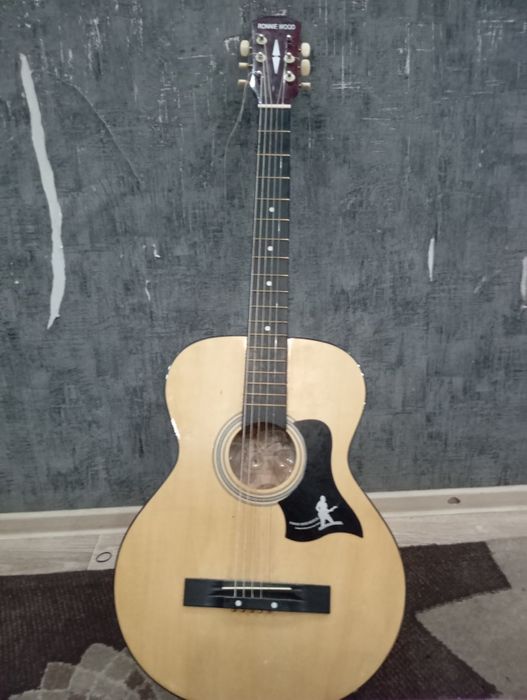 Гитара RONNE wood