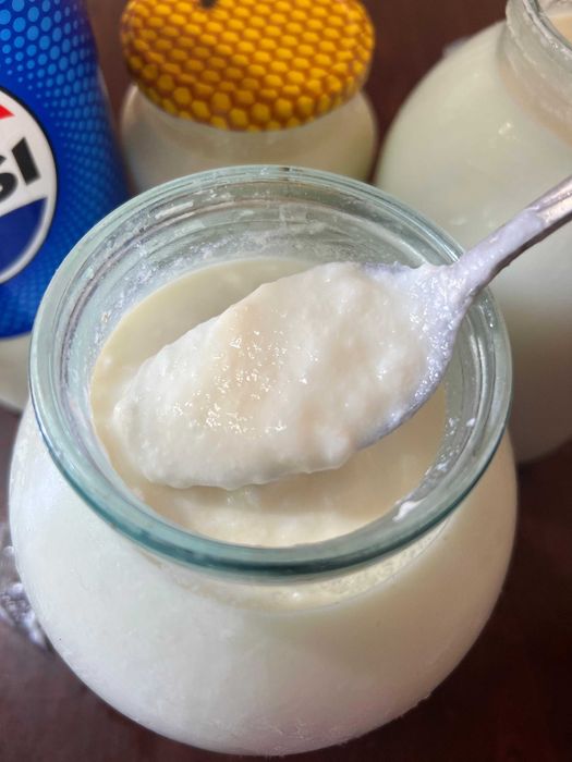 Табиғи сиыр катығы