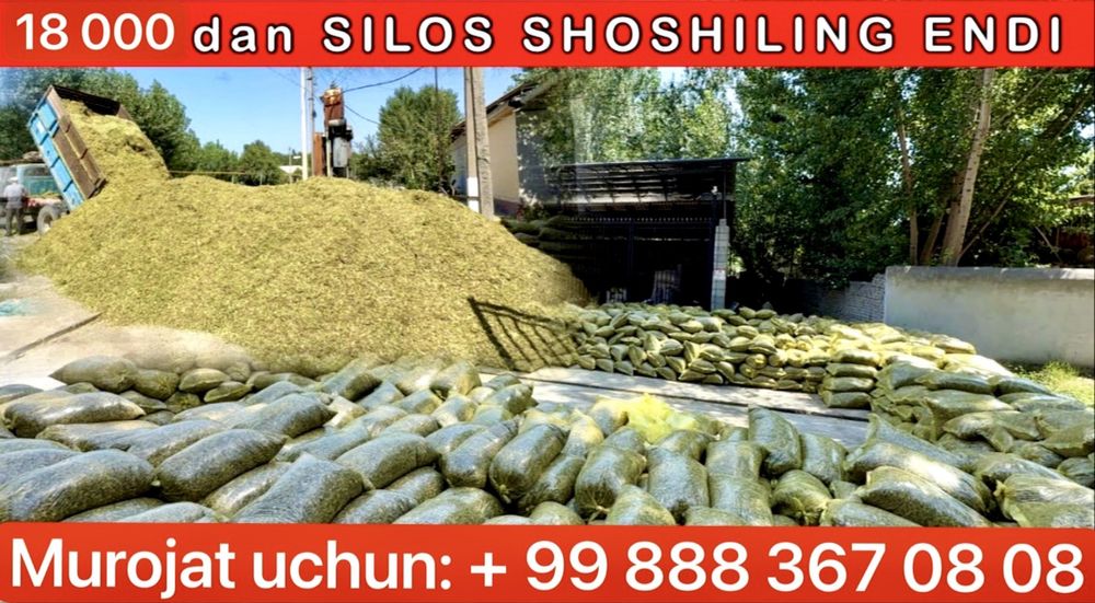 Qoplik Vodiy selosi  22.000 so’m Gibrit Silos Donlik