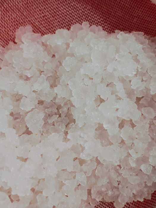 Kefir de lapte apa ciuperca tibetana japoneza Kombucha