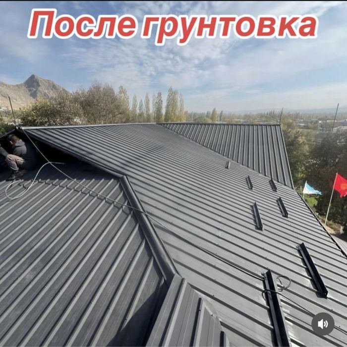 Покраска крыши. Ремонт крыши