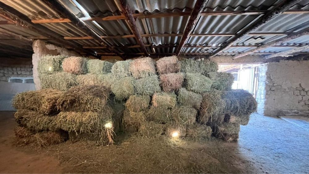 Жоңышқа сатылады үлкен пресс