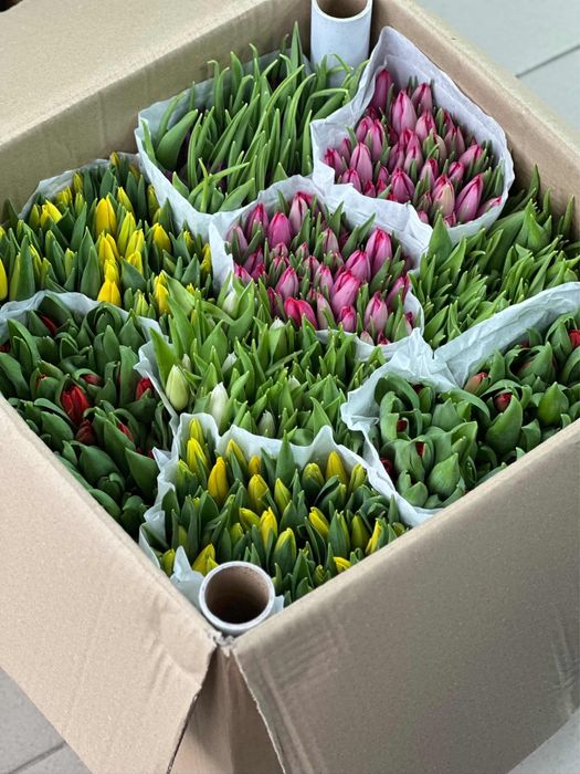 Букеты Тюльпанов на 8 Марта Предзаказ‼️