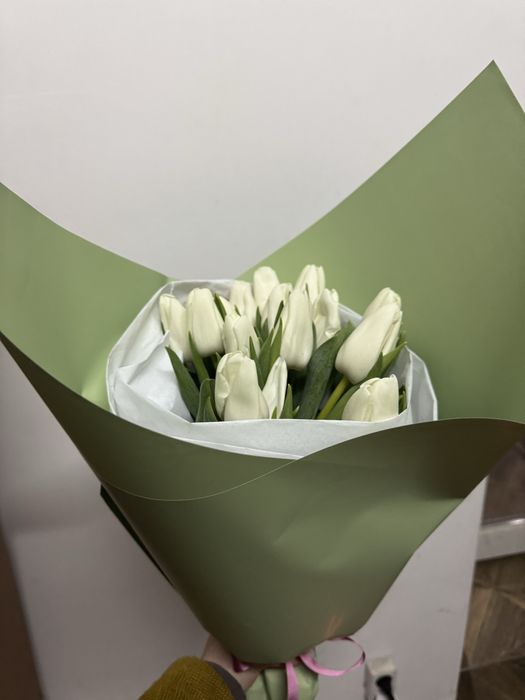 Премипльные тюльпаны