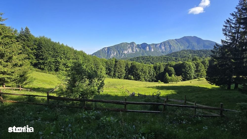 Teren Poiana Secuilor -Predeal