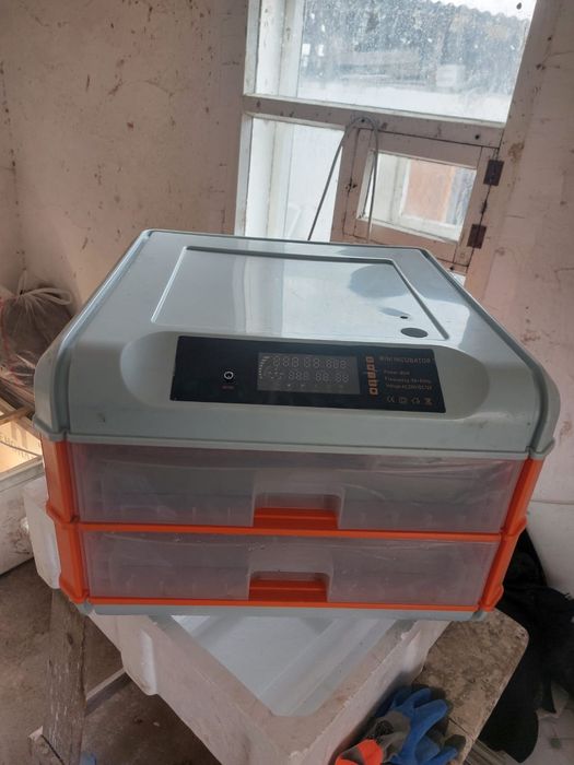 Инкубатор сатылады