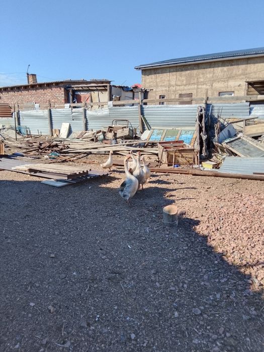 Срочно продается.