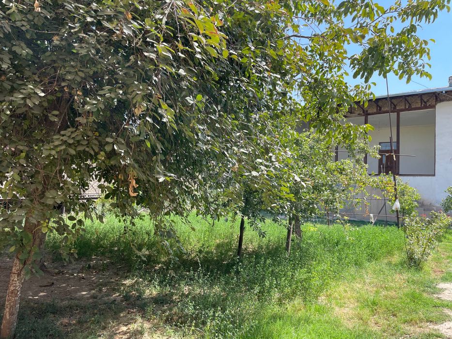 Nazarbek Xarakatda 5.7 sotix uchastka sotiladi