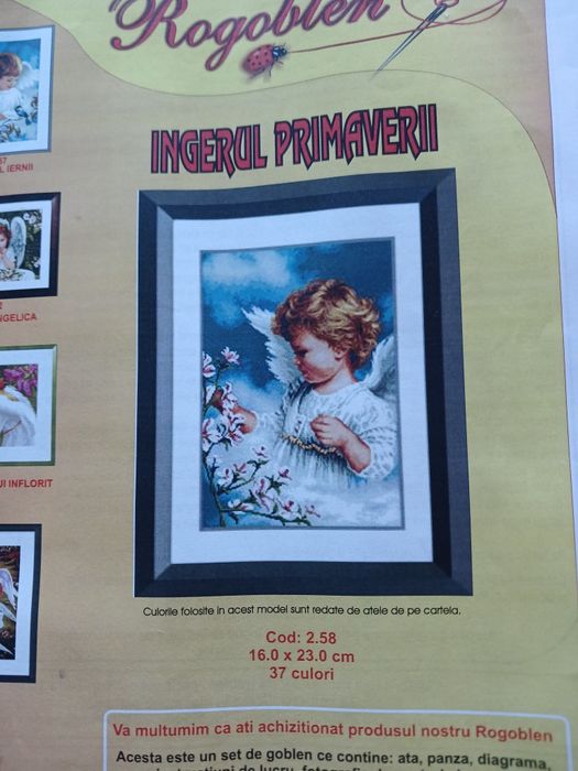 Diagrame cu ațe pentru goblen de Focșani