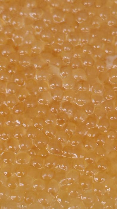 Продам икру щуки с/с