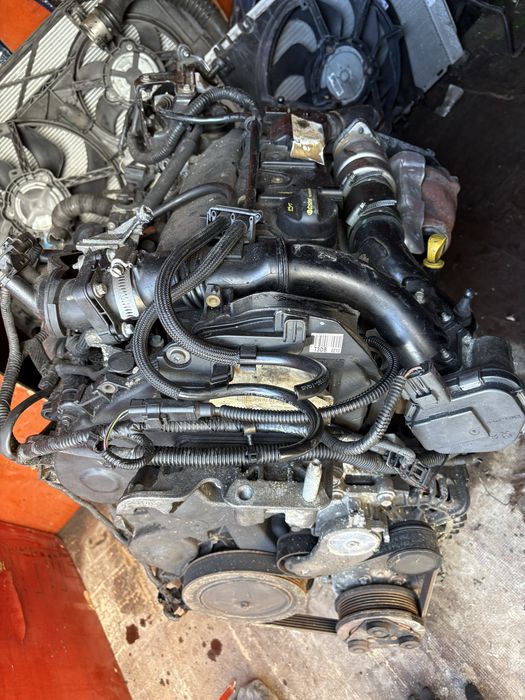 Motor focusmk3 -  1,6 DV6C diesel