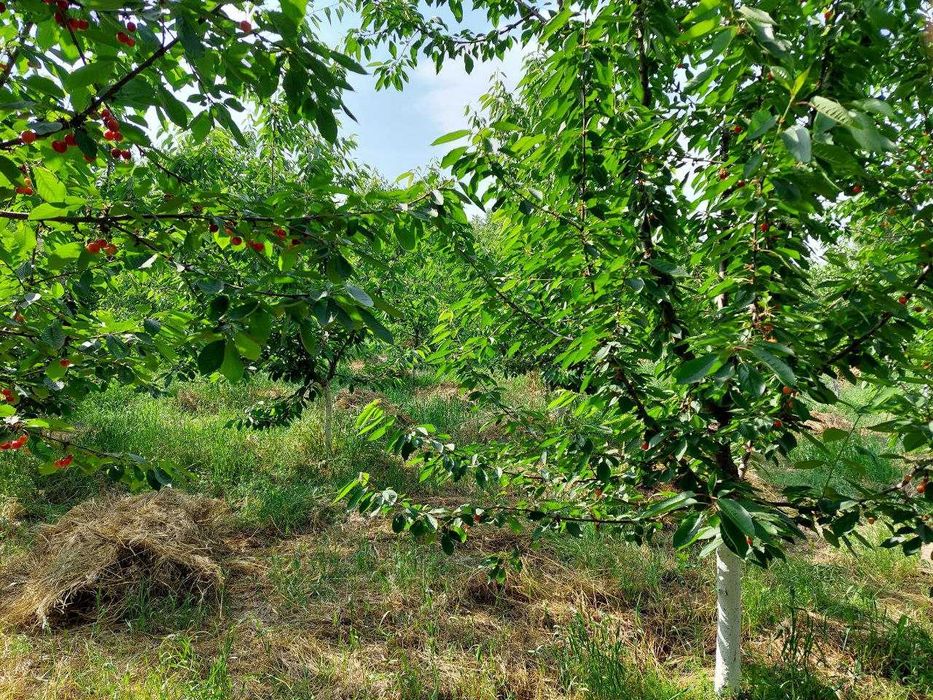 Продается дом в Юкори Чирчикском районе, 16 сотых