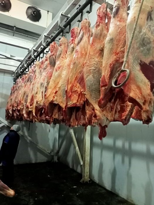 Мясо оптом!!!доставка