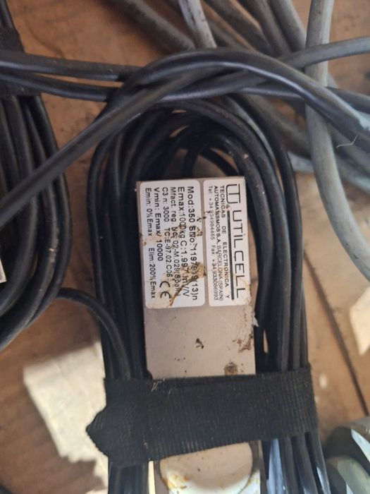 cantar de cantarit Animale