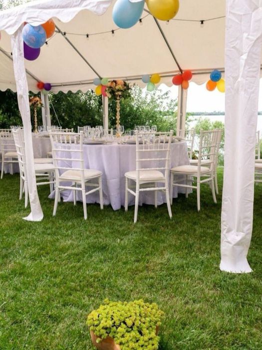 Cort profesional evenimente , manechin , masuta