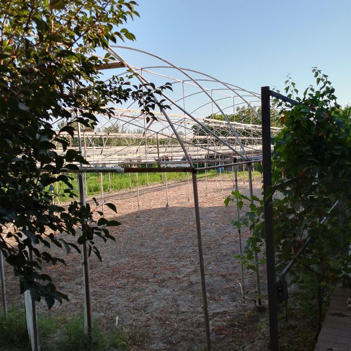 Парник 5 сотох сотилади