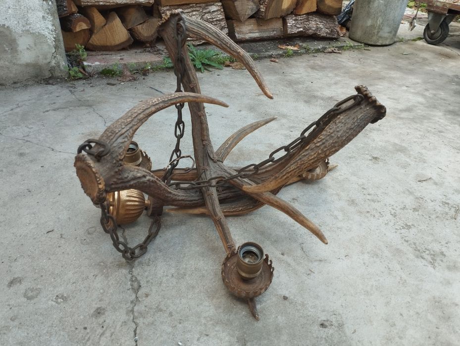 Стар полилей от 3 еленови рога