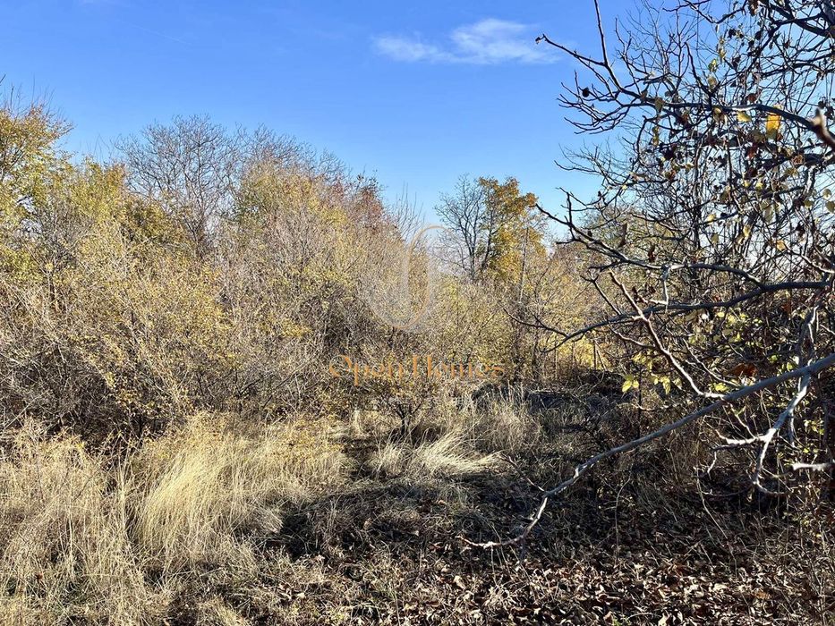 Парцел във вилната зона на с. Брестник