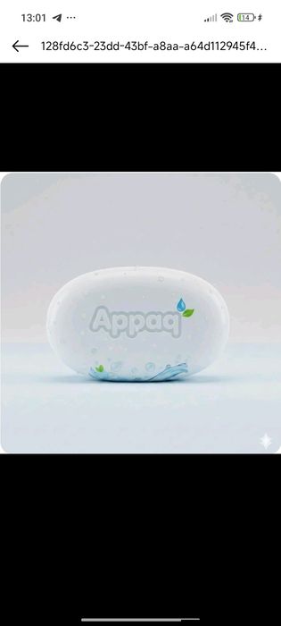 Товарный знак Appaq
