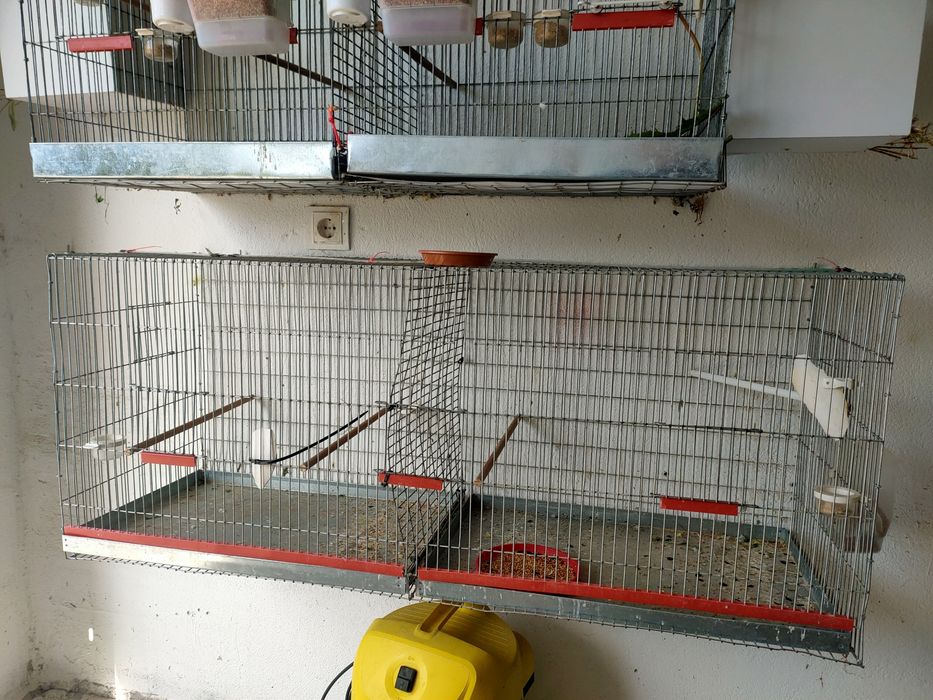 Colivie XXL 120-50-50