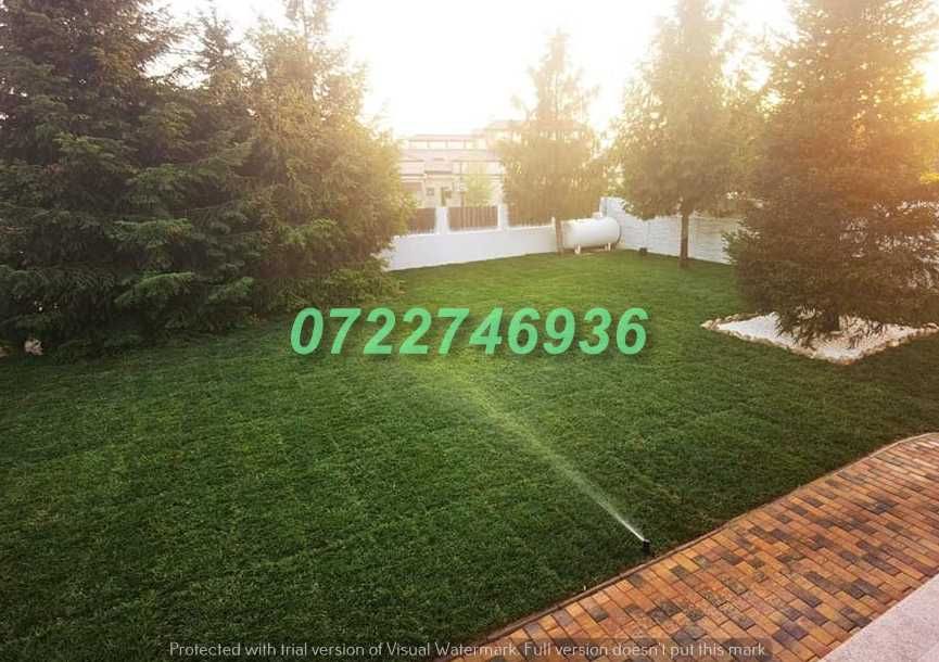 Gazon Natural pentru Grădini și Terenuri Rezidențiale