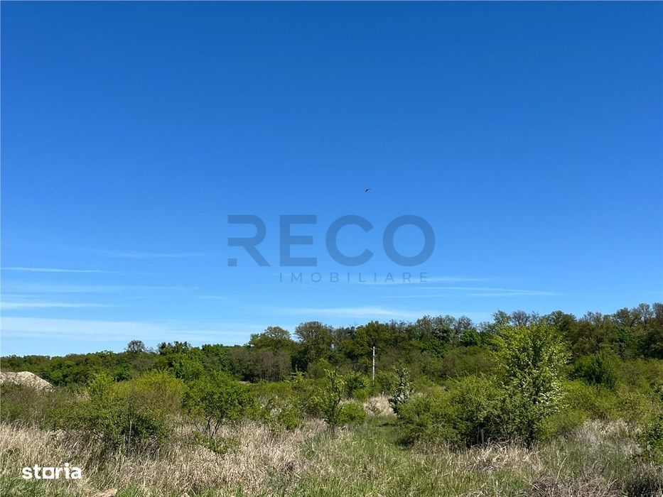 RECO teren intravilan Sanmartin