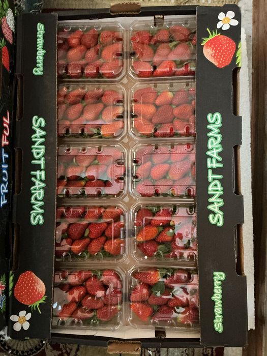 Египетская свежая клубника