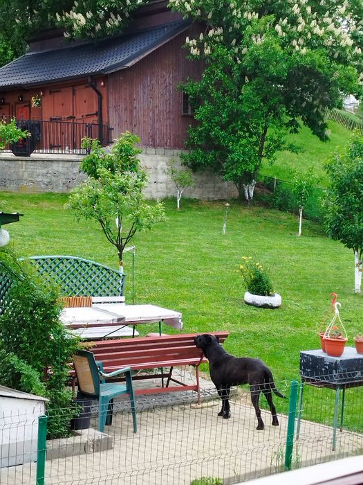 Vând apartament în vila tip duplex