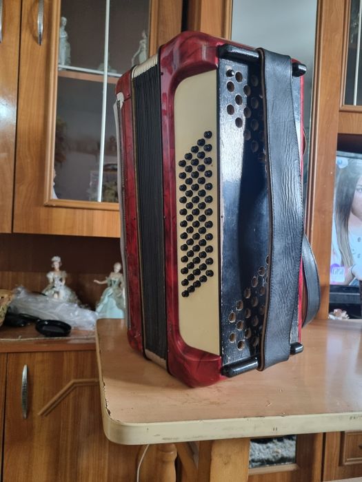 Vand acordeon hohner