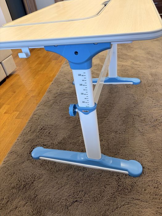 Birou si scaun ergonomic copii WISDOM/STUDY reglabil inaltime, cu sertar Mobexpert
