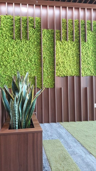 Всичко за озеленяването