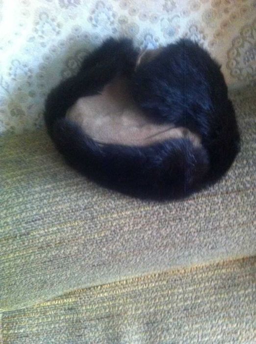 новая шапка ушанка из замши и кроличьего меха 80-х годов, 56 размера