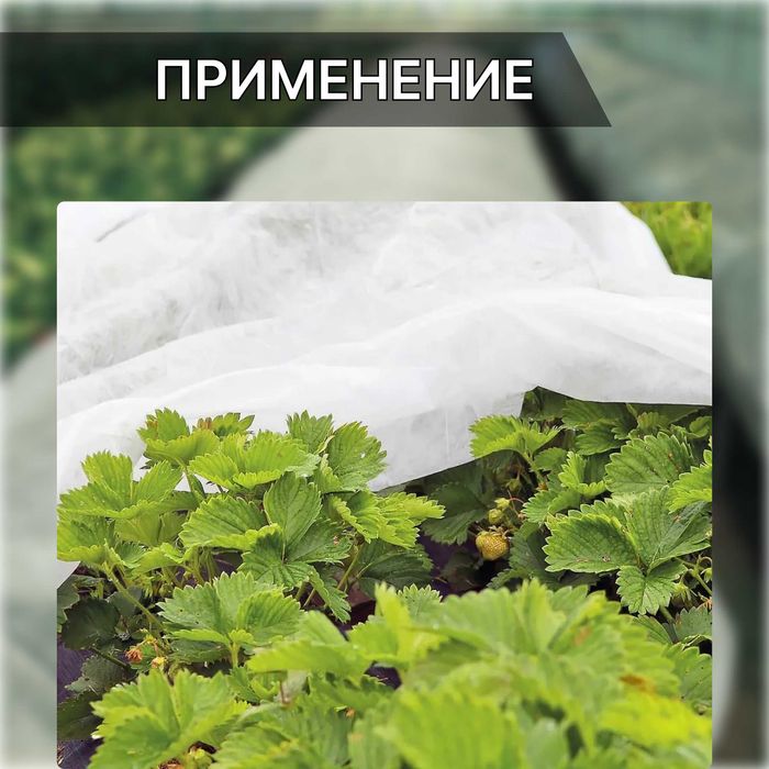 Спанбонд укрывной материал, агроспан в рулоне