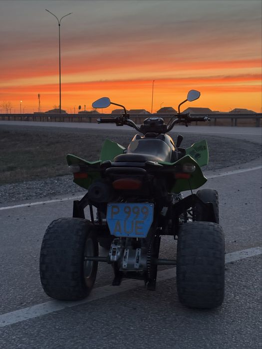 Квадроцикл Arctic Cat DVX 250