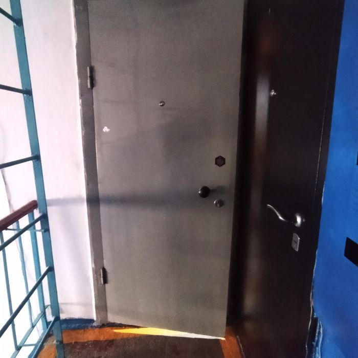 Входная дверь металлическая