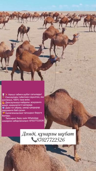 Таза шұбат табиғи