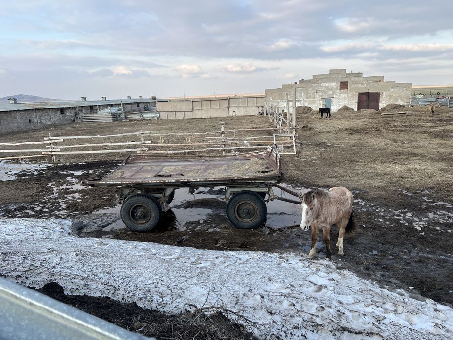 Продается хозяйство