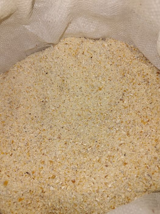 Făină de porumb boabe foarte bine uscată